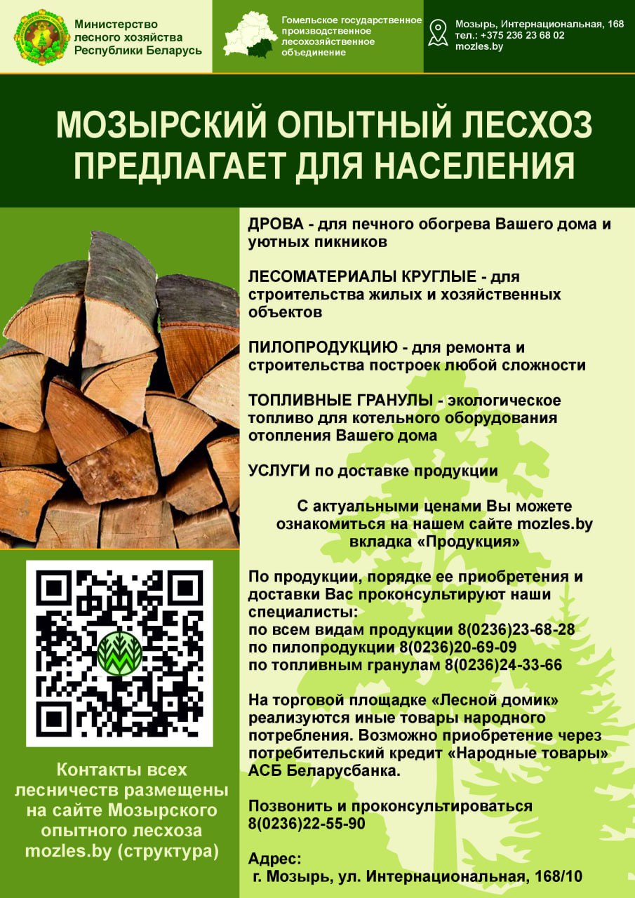 photo 2025 07 24 09 54 23
