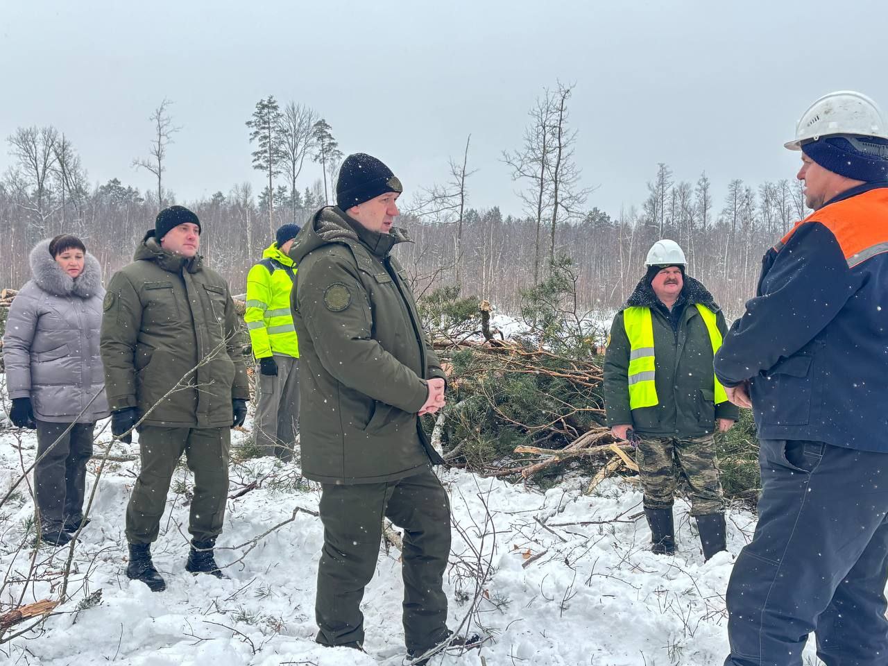 photo 2026 01 24 11 35 47 2