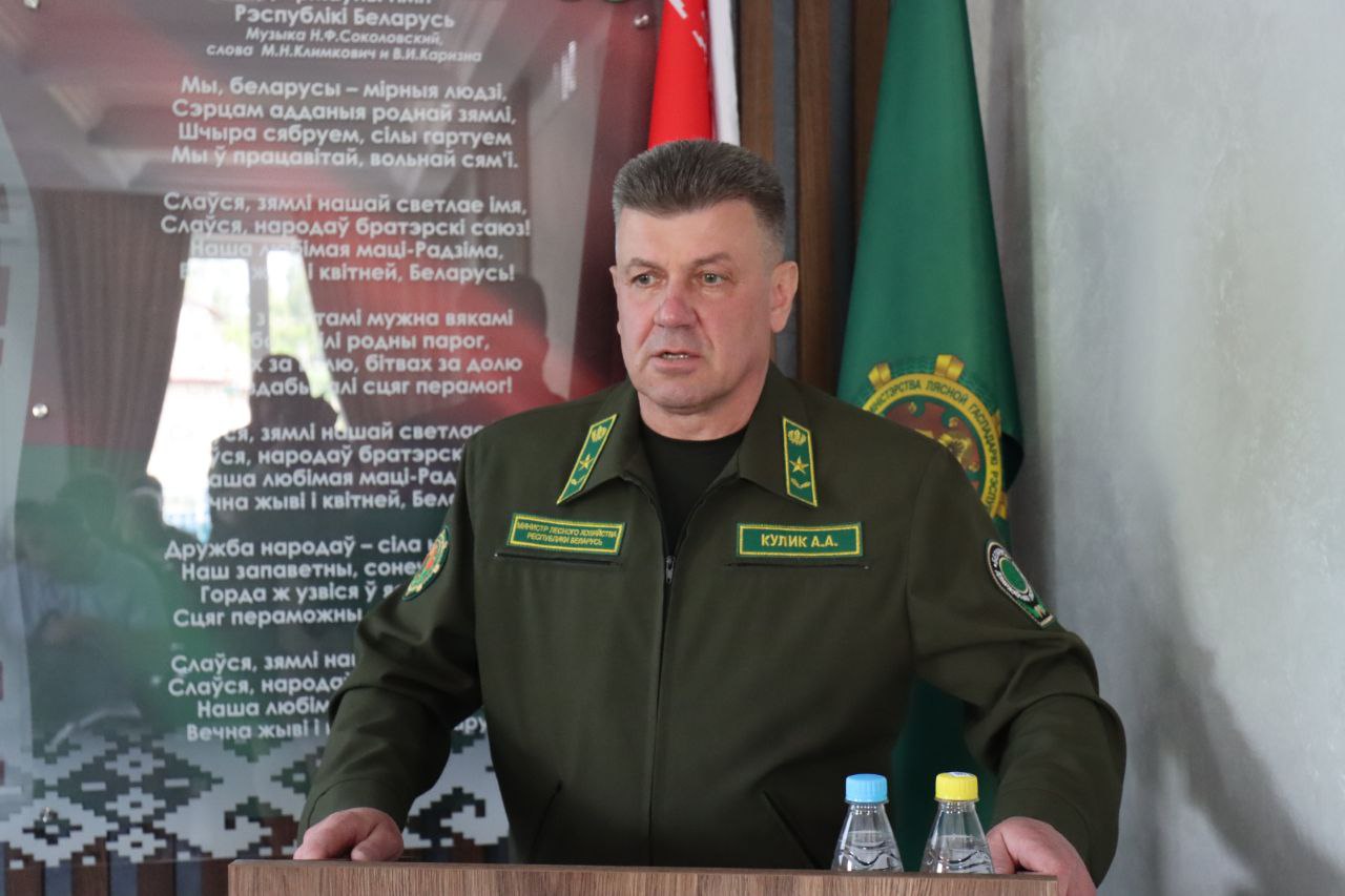 3й545235.jpg