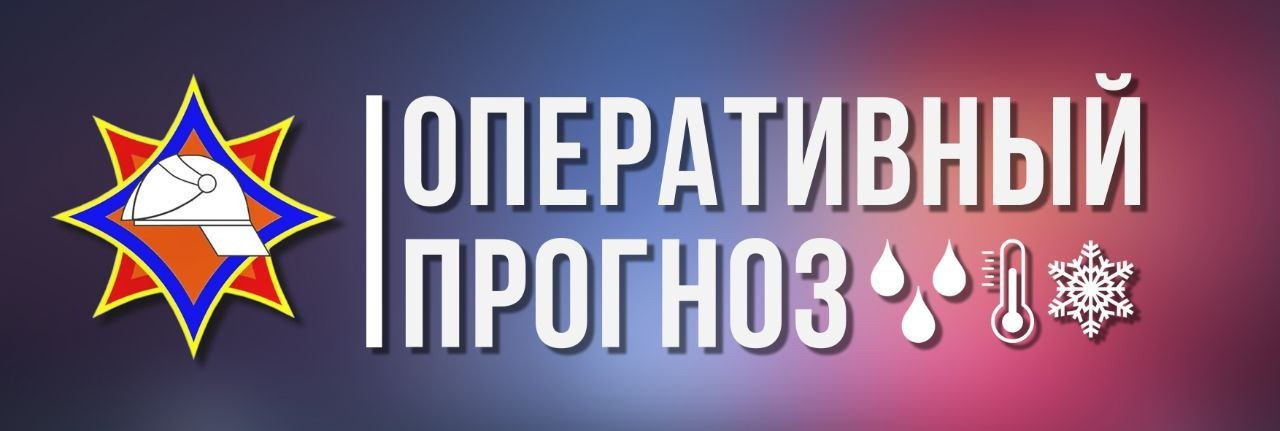 7664.jpg