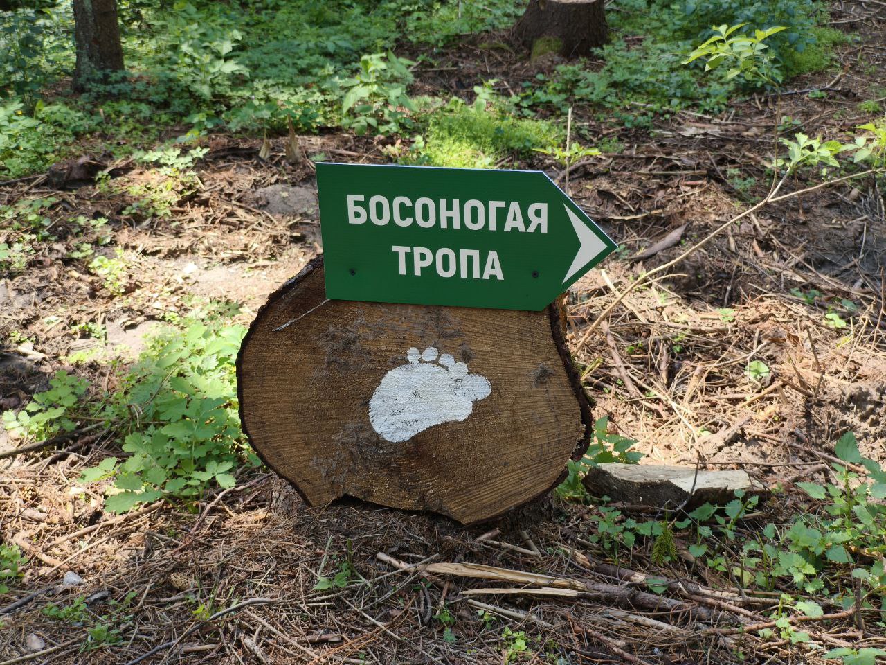 78667867.jpg
