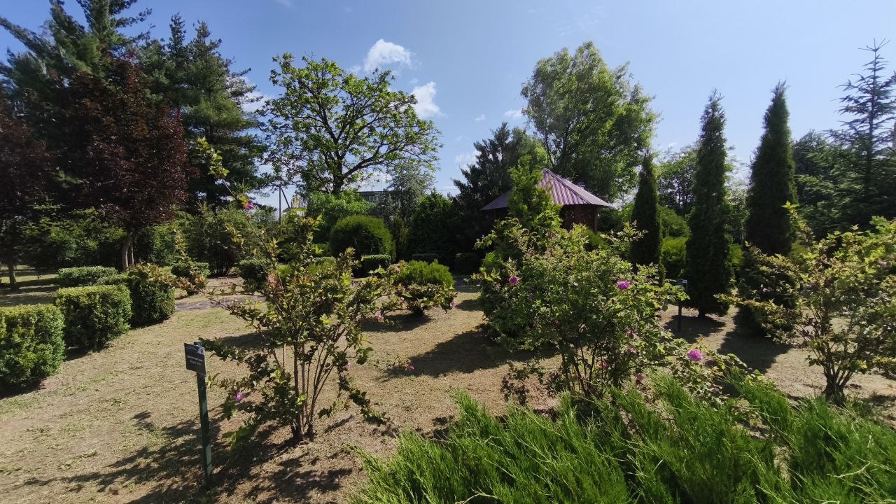 987454.jpg
